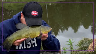 Idziemy na ryby? Plany, zloty, Perfect Fishing | 10.04.2022