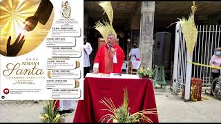 🔴 EN VIVO 🔴 MISA ♱ DOMINGO DE LA PASIÓN DEL SEÑOR - RAMOS 10/04/2022 | Parroquia Venezuela