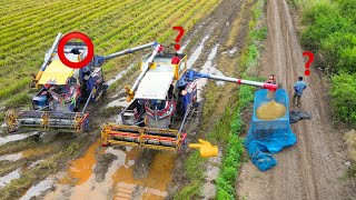 FIRST DAY OF RICE  HARVEST 2024, Completed Farm Harvester Your Farmer End Harvesting