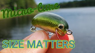 How to make a wooded micro lure Step-By-Step, Making a crappie bait  #panfish  #crappiefishing