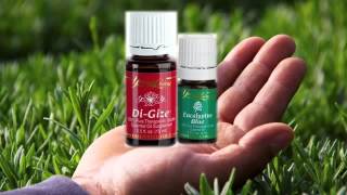 Young Living Di-Gize and Eucalyptus Blue