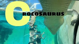 Crocosaurus Cove