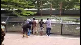 PNG -  Pranking guy in crocodile zoo 😂😂