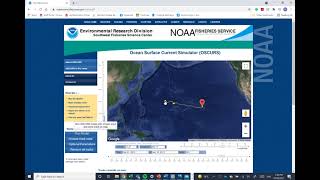 How to use the Ocean Surface Current Simulator