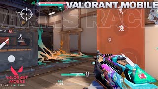 Valorant Mobile Arms Race mode Full Gameplay🔥 | Open Beta soon..🤯 #valorantmobile