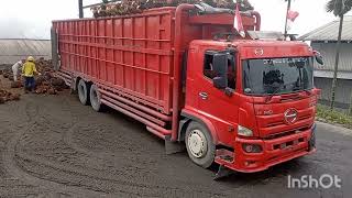 hari ini harga sawit turun, rp 2575/kg. truk sawit yg masuk banyak!!@suriadi kw loader