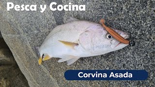 Corvina desde Rocas y Asada - Pesca y Cocina