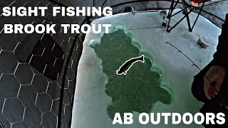 FIRST ICE SIGHT FISHING BROOK TROUT