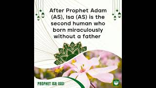 Prophet Isa (AS) | Jesus In Islam |  Muslim & Quran Pro - Become a Better Muslim