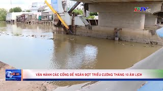 Vận hành các cống để ngăn đợt triều cường tháng 10 âm lịch