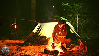 -25 Overnight Winter Tarp Camp with my Dog. Warm Fire, Hot Food and Plunging Temperatures.