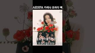 AESPA 카리나 천만원대 프라다 갤러리아 백 #shorts #에스파 #윈터 #지젤 #닝닝 #프라다 #슈퍼노바 #아마겟돈 #쇼파드 #이재욱