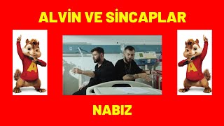 BURAK BULUT &  KURTULUŞ KUŞ - NABIZ | ALVİN VE SİNCAPLAR