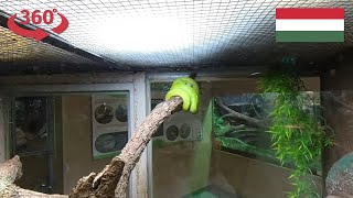 Terrarium at the Pecs Zoo - Pécsi Állatkert in Pécs, Hungary