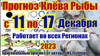 Прогноз клева рыбы на неделю  с 11 по 17 Декабря  Календарь клева рыбы  Лунный Календарь рыбака