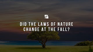 Did the Laws of Nature change at the Fall?