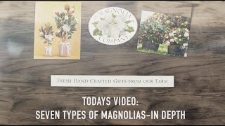 7 Types of Magnolias - An In Depth Overview