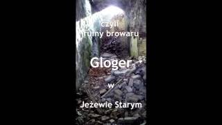 Ruiny Browaru Glogera w Jeżewie Starym