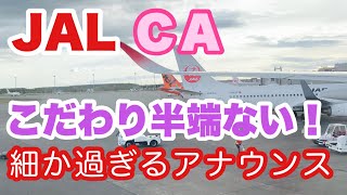 JAL  超細かい！ 新千歳空港到着の際の機内アナウンス JALはやっぱり日本のエアライン【IBA-Air】