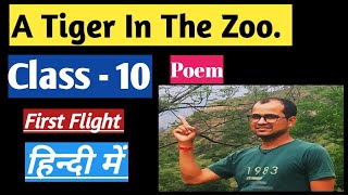 A Tiger in The Zoo || Class-10 English || NCERT BOOK First Flight || Explained in हिन्दी ||