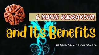 6 Mukhi Rudraksha and Its Benefits