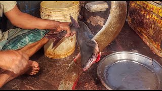 Awesome Pangasius Fish Cutting || Fast Fish Cutting Skills In Fishing Market || Fish Slicing || HD