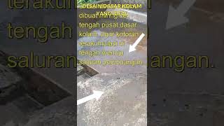 DESAIN DASAR KOLAM YANG IDEAL #shorts #shortvideo #shortsvideo #like