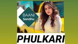 Phulkari [•• 8D AudiO ••|| BaaniSandhu