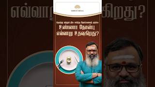 தொற்று மற்றும் திசு சார்ந்த நோய்களைத் தடுக்க உண்ணா நோன்பு எவ்வாறு உதவுகிறது?