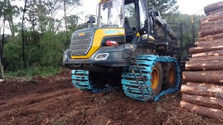 forwarder posse elephant no baldeio