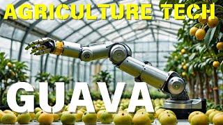 Top Agriculture Experts Reveal GUAVA Technology Secrets