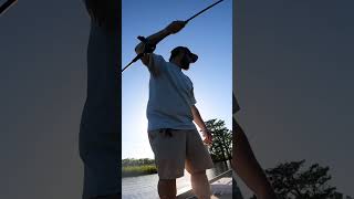 Evening monster! #shorts #shortsfeed #shortsvideo #shortsviral #shortsyoutube #shortsfishing