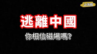 逃離中國‼️你相信磁場嗎？｜上海完結篇EP16🇨🇳