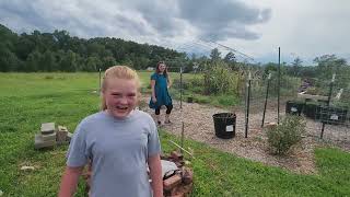 Millie-Mae & Emmitt's Garden Where I Get My Fresh Organic Produce