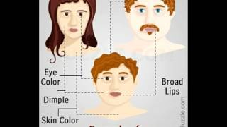 Dominant and Recessive Traits in Humans