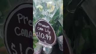 | mother's day special#trader's Joe#american store#usa