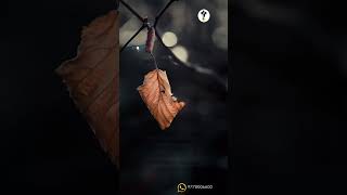 #stay_positive#best#shorts #Malayalam_Christian_WhatsApp_status_video #Jesus_ status_video #devotion