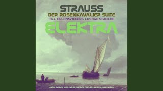 Elektra, Op. 58: Platz Da! Wer Lungert So Vor Einer Tür?