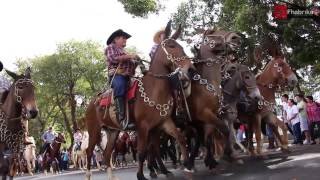 20º Desfile de Cavaleiros e Amazonas de Andradas MG HD