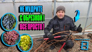 СЕКРЕТЫ УСПЕШНОЙ ОБРЕЗКИ ВИНОГРАДА ДЛЯ НАЧИНАЮЩИХ ВИНОГРАДАРЕЙ. СЕВЕРНЫЙ ВИНОГРАДНИК 24-31