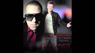 Michel Telo - Ai Se Eu Te Pego Remix Reggaeton (Dj Flayer)