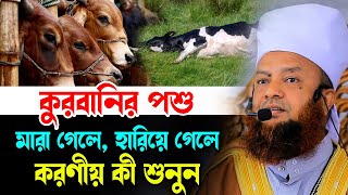 কুরবানির পশু মারা গেলে অথবা হারিয়ে গেলে করণীয় কী ড.আবুল কালাম আজাদ বাশার প্রশ্ন উত্তর পর্ব waz 2024