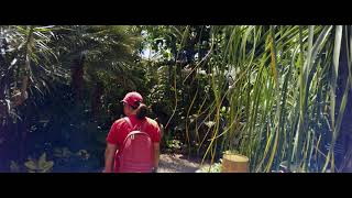 Bloedel Conservatory | Anamorphic UltraHD