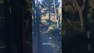 #viral #video #shimla #kalka #train