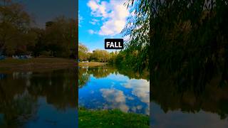 quiet place #travel #fall #nature #naturelovers #lake #leaves #tranquility #music #relaxing #shorts