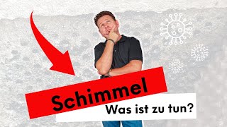 Schimmel - Handle schnell?