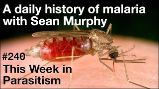 TWiP 240: A daily history of malaria with Sean Murphy