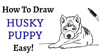 How To Draw A SIBERIAN HUSKY PUPPY! Step-by-step Tutorial On Drawing A Dog EASY!