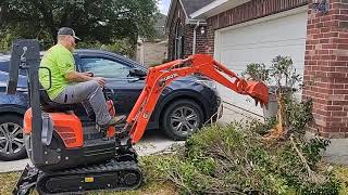 Kubota K008 pulling bushes out