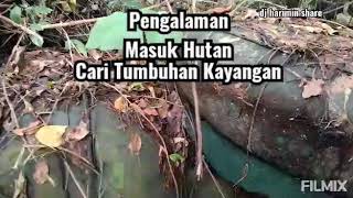 Doa Masuk Hutan, Mencari Kaladium Kayangan dan Sebagainya, Part 2. (doa dibahagian Discripsion)